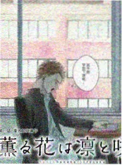 九九影视户外综艺荒野厨房在线观看